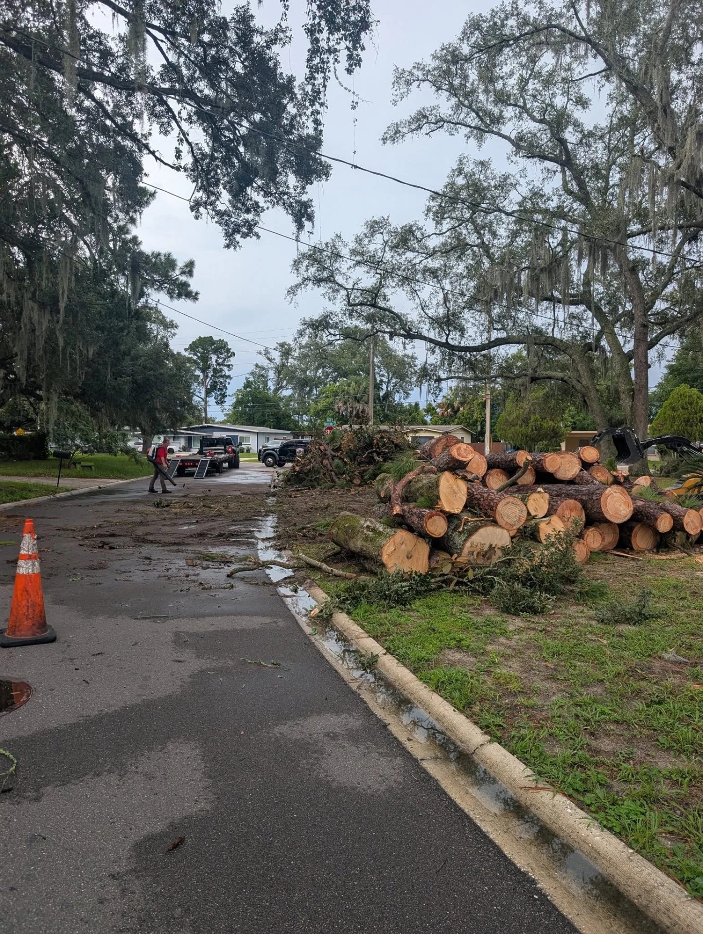 Bucked log rounds stacked at the curb while a crew member blows the street clean after a removal