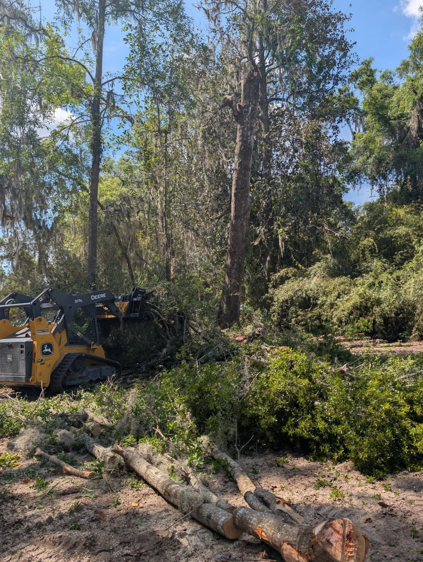 Forestry mulching a wooded lot, returning mulch to the cleared ground
