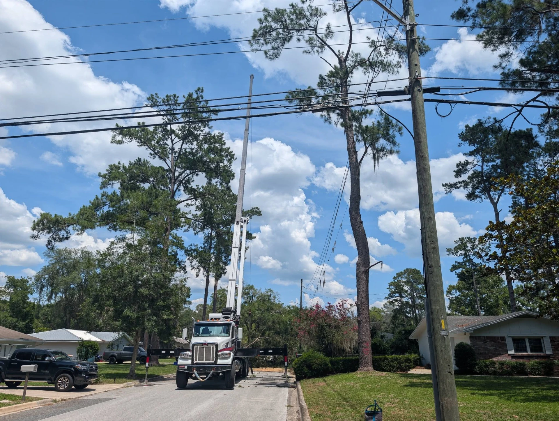 Crane truck set up in the street to remove pines growing through overhead utility lines