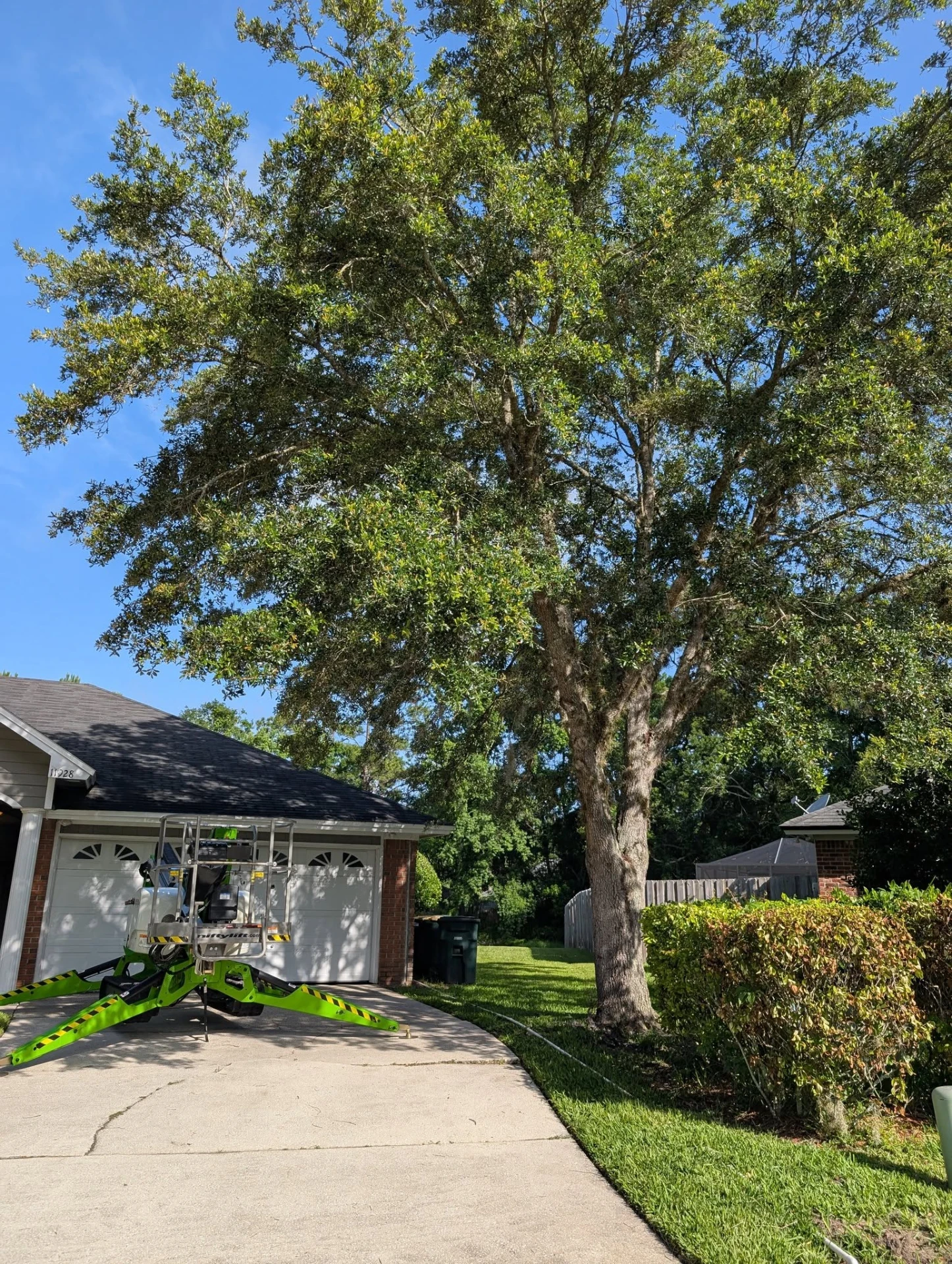 Large live oak canopy hanging over the garage and driveway of a brick home with a green spider lift staged below