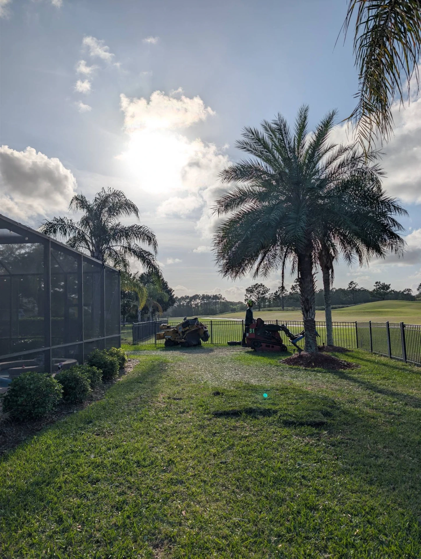 Stump grinder and compact track loader working a golf-course backyard after a palm removal