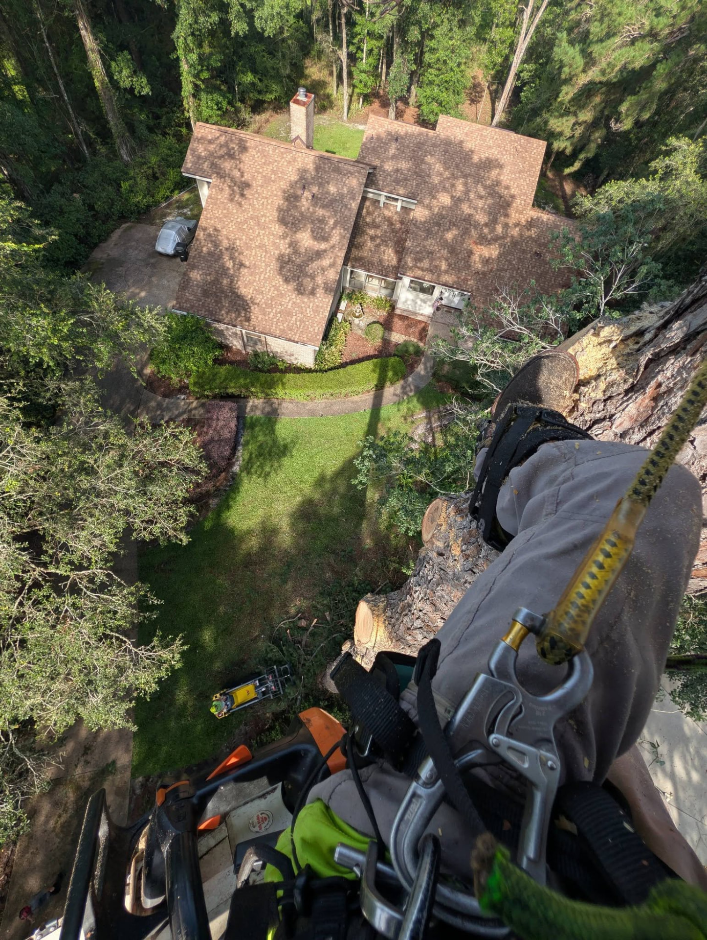 View from the top of a pine looking down at the house and rigging below