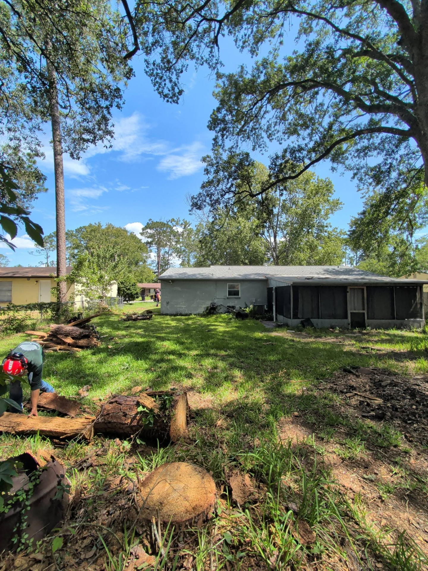 Cleared backyard with stumps ground flush after a tree removal