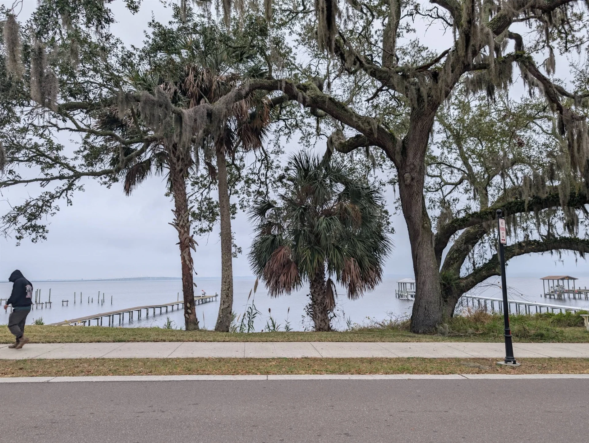 Spanish moss draped live oaks and palms lining the riverfront across from a dock