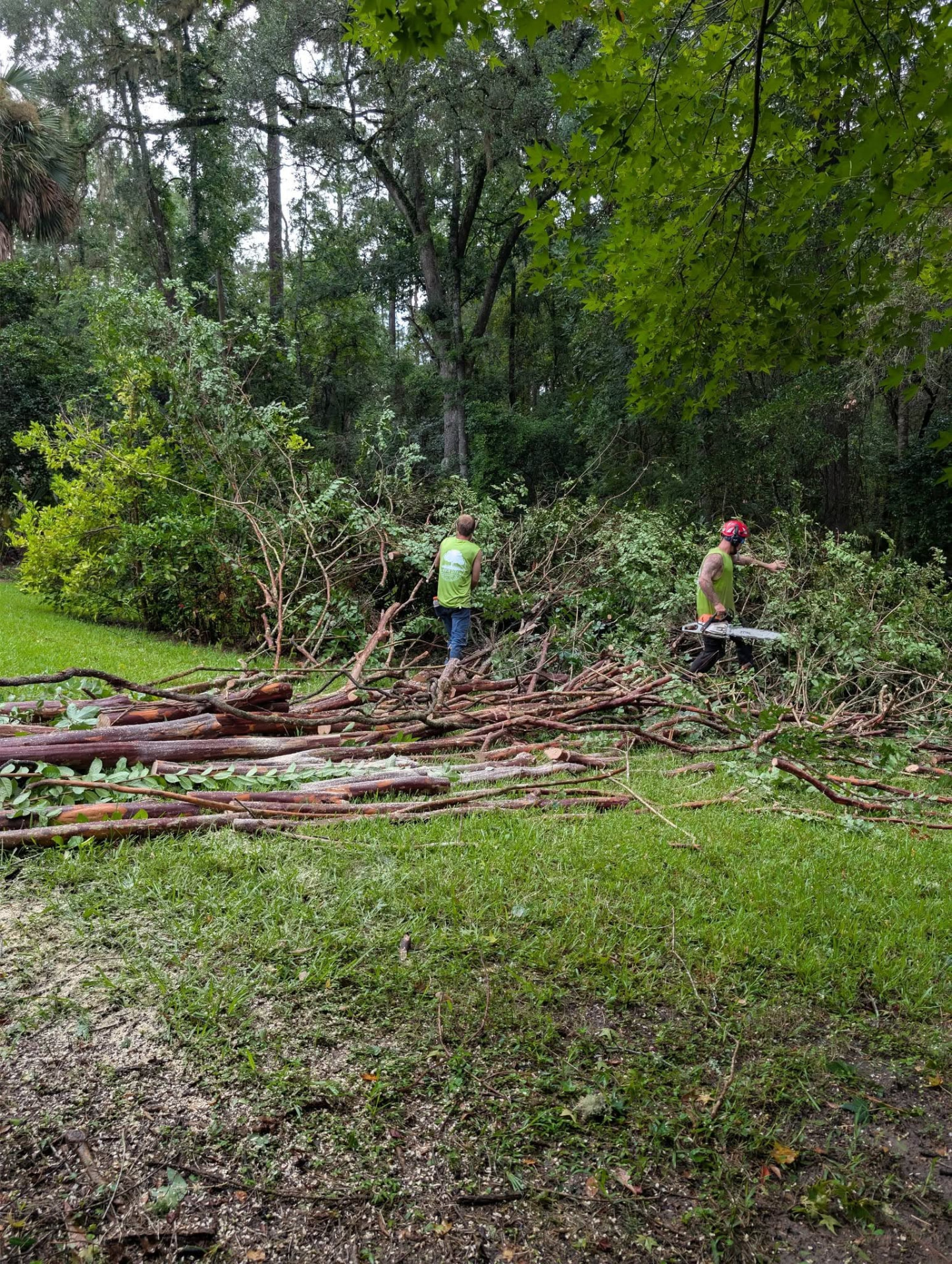 Crew in high-visibility shirts dragging brush and cut limbs across a lawn