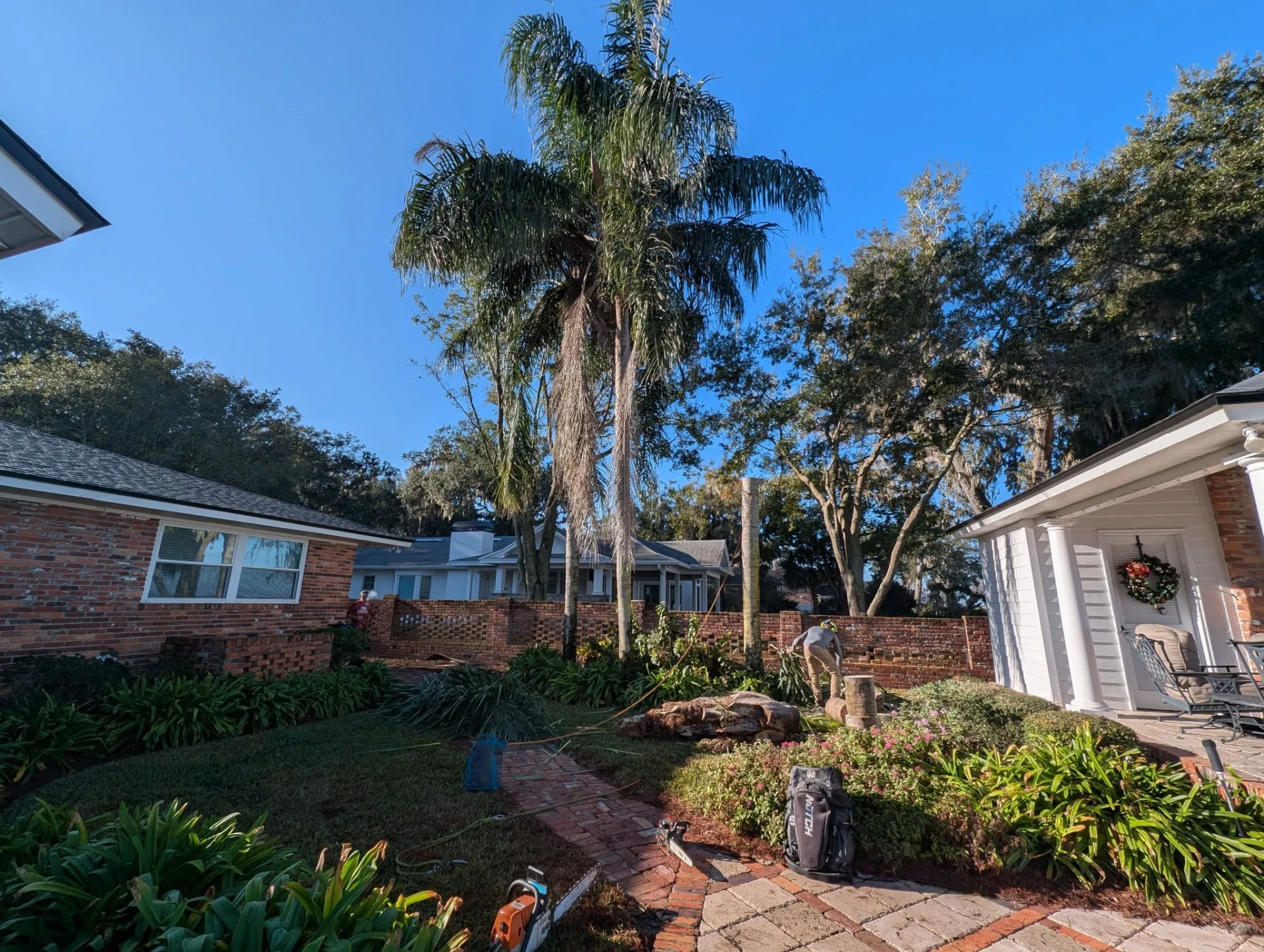 Palm tree being removed from a tight courtyard without damaging the enclosure
