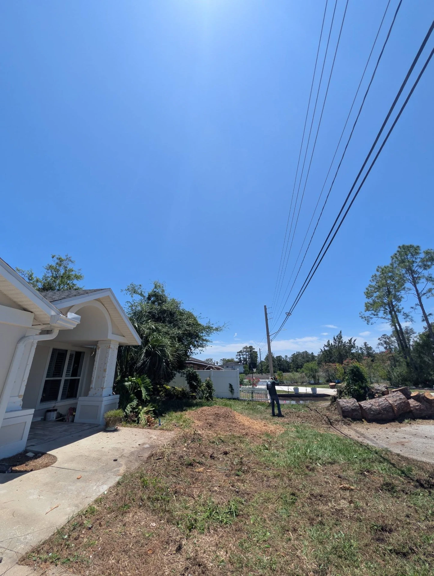 Bucked trunk sections stacked clear of the power lines after a utility clearance removal