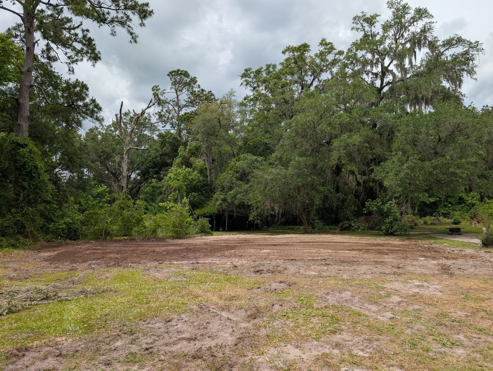 The same lot cleared and graded to bare soil with the mossy oak tree line left standing behind