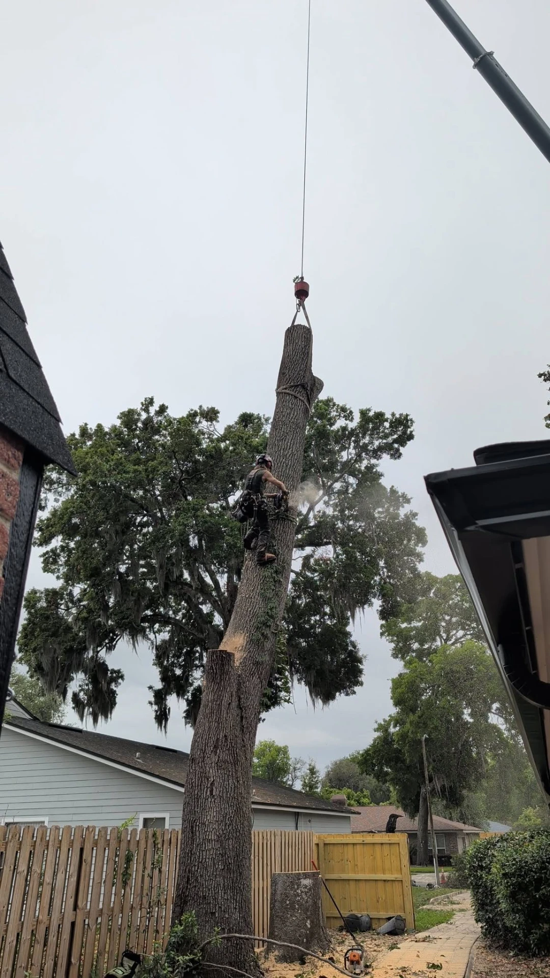 Crane lifting a large oak trunk section clear of a property